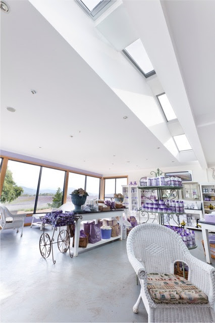 skylight_110